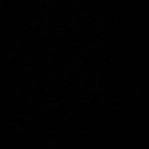 Meet your Posher, Harper